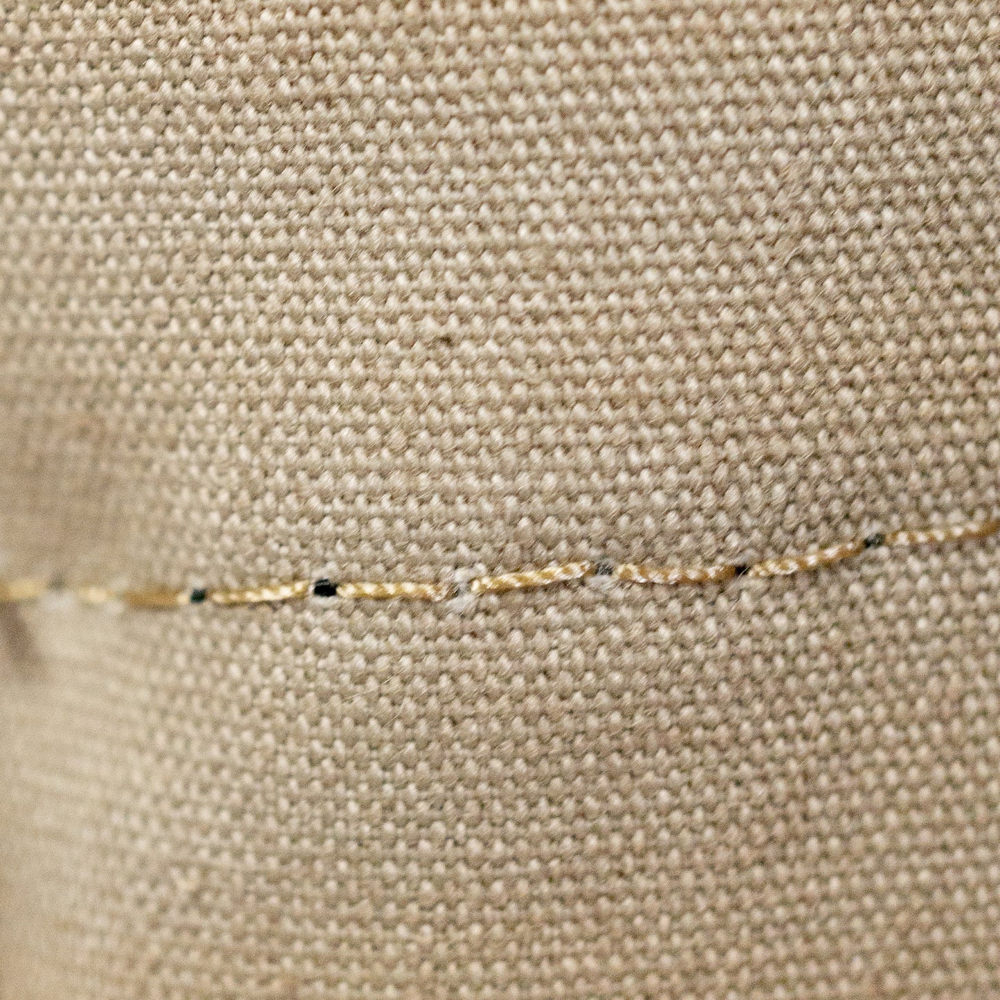 TAMPICO PETⅡ CABAS XS COTTON