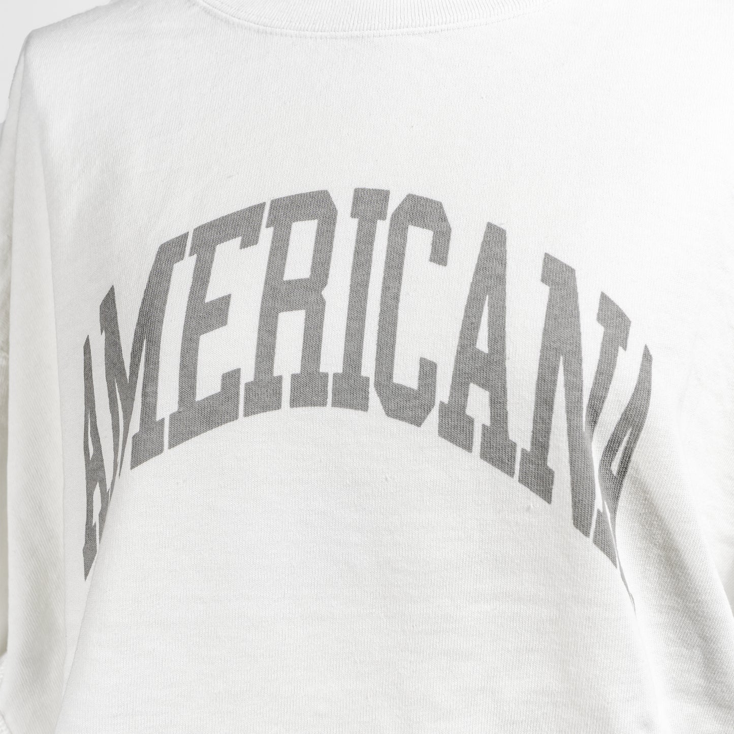 25AW AMERICANA USED加工ロングスリーブTシャツ BRF-783A/1