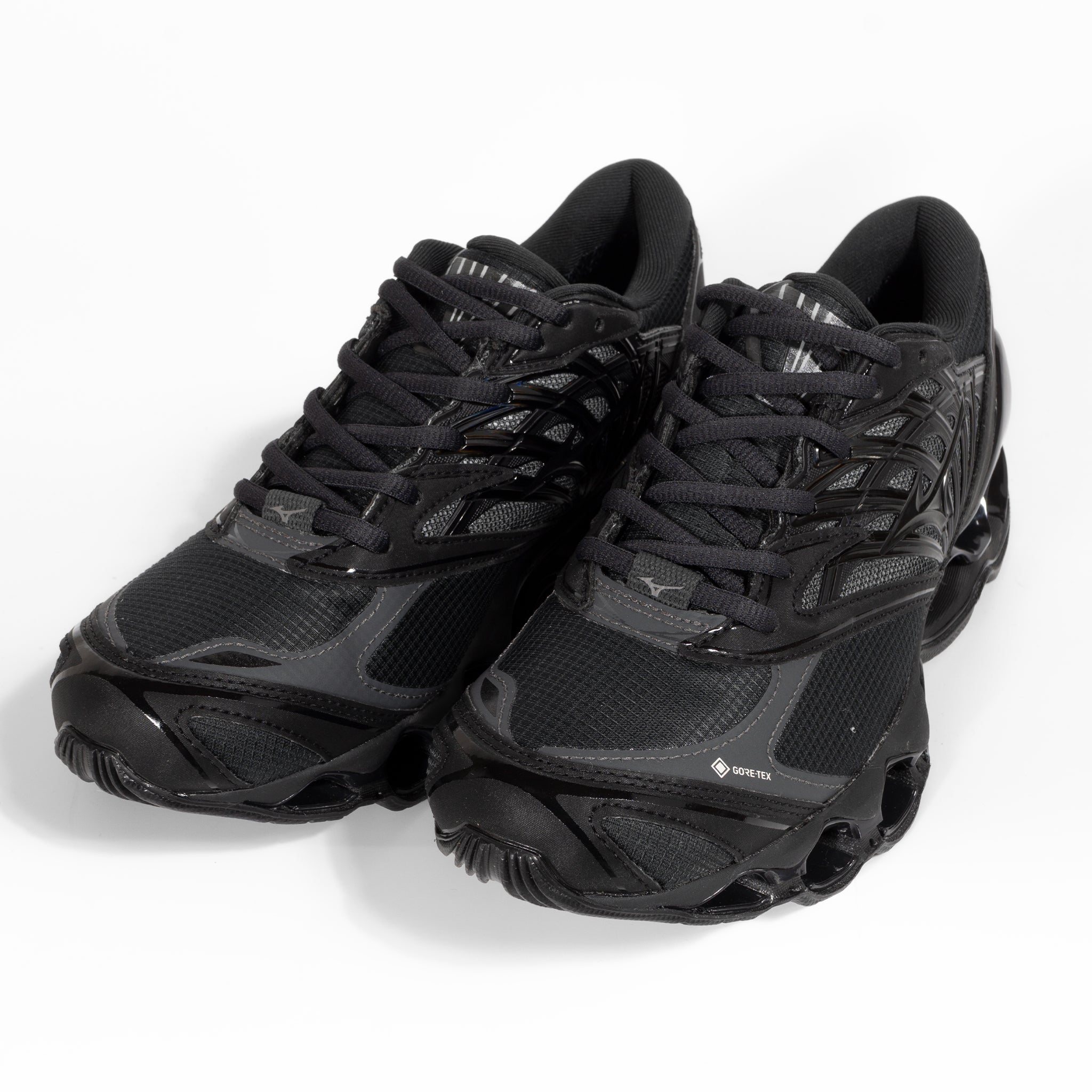 ONTADE公式｜MIZUNO ミズノ WAVE PROPHECY LS GTX(ゴアテックス