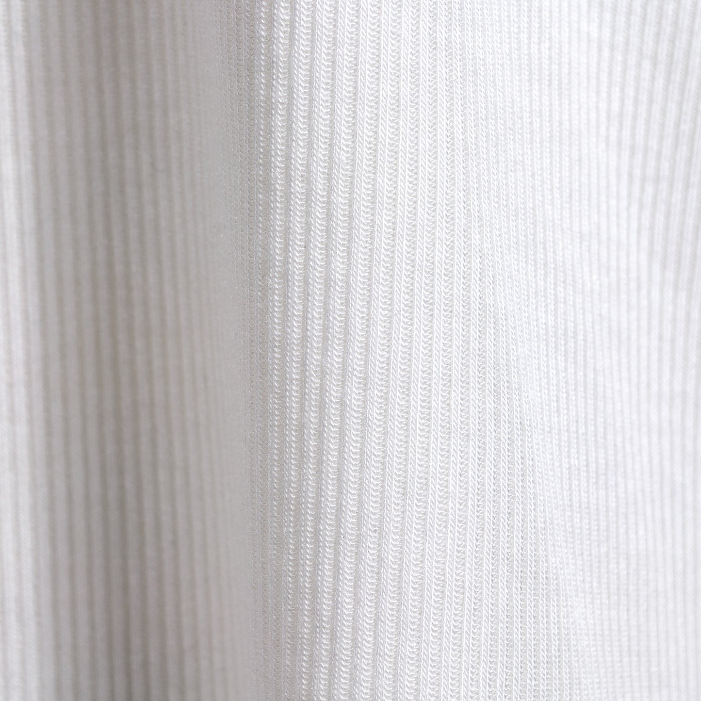 26SS PASSIONE フレンチスリーブ リブTシャツ 616936