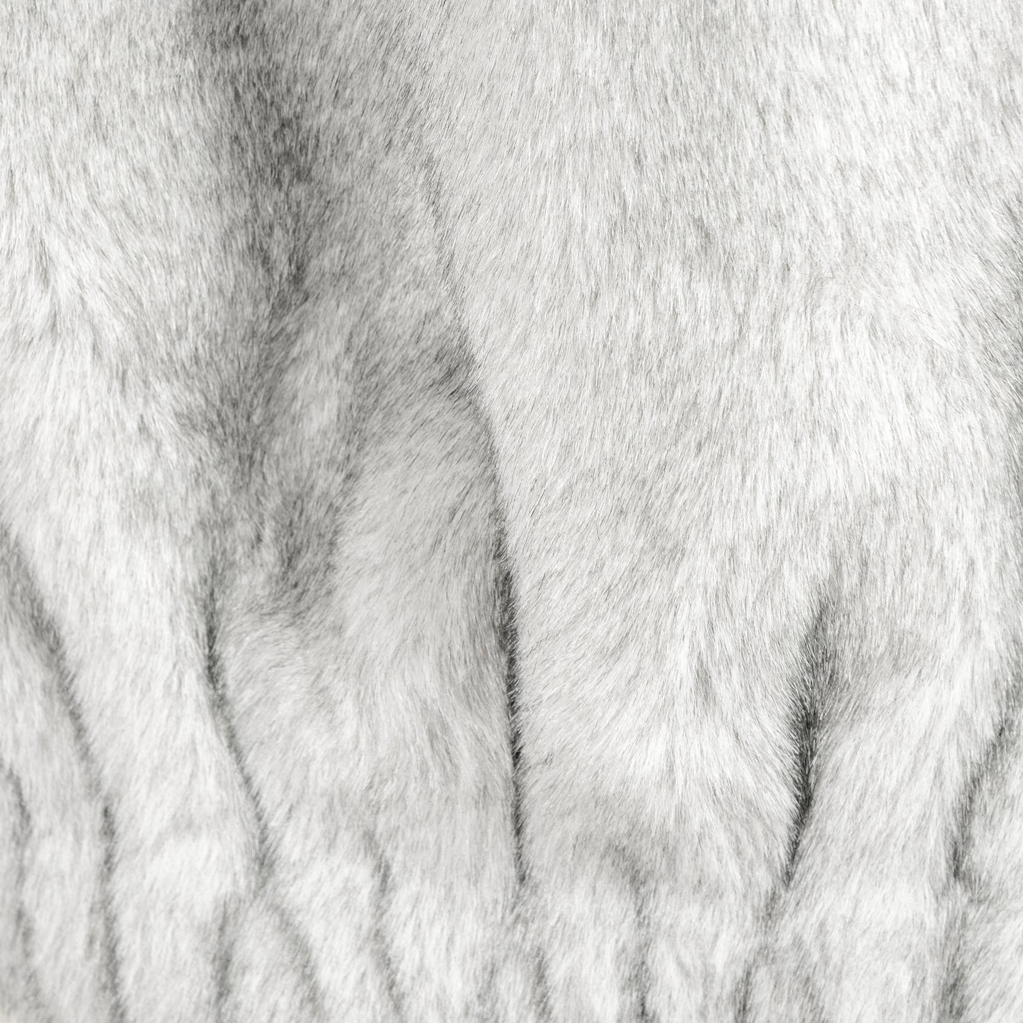 25SAW PASSIONE エコファージレ 536404